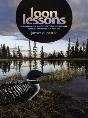 cover image of Loon Lessons
